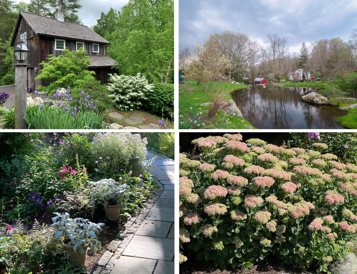 Books & Blooms: Tour Four Gorgeous Cornwall Gardens | The Cornwall Library