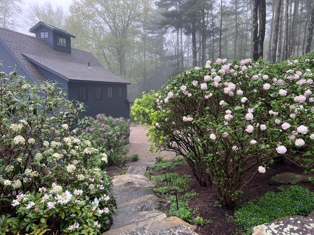 garden 3 IMG_5411