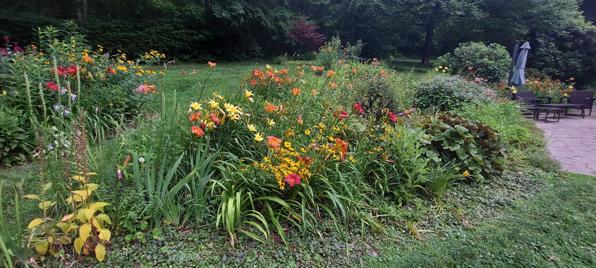 garden 4 20240714_181853
